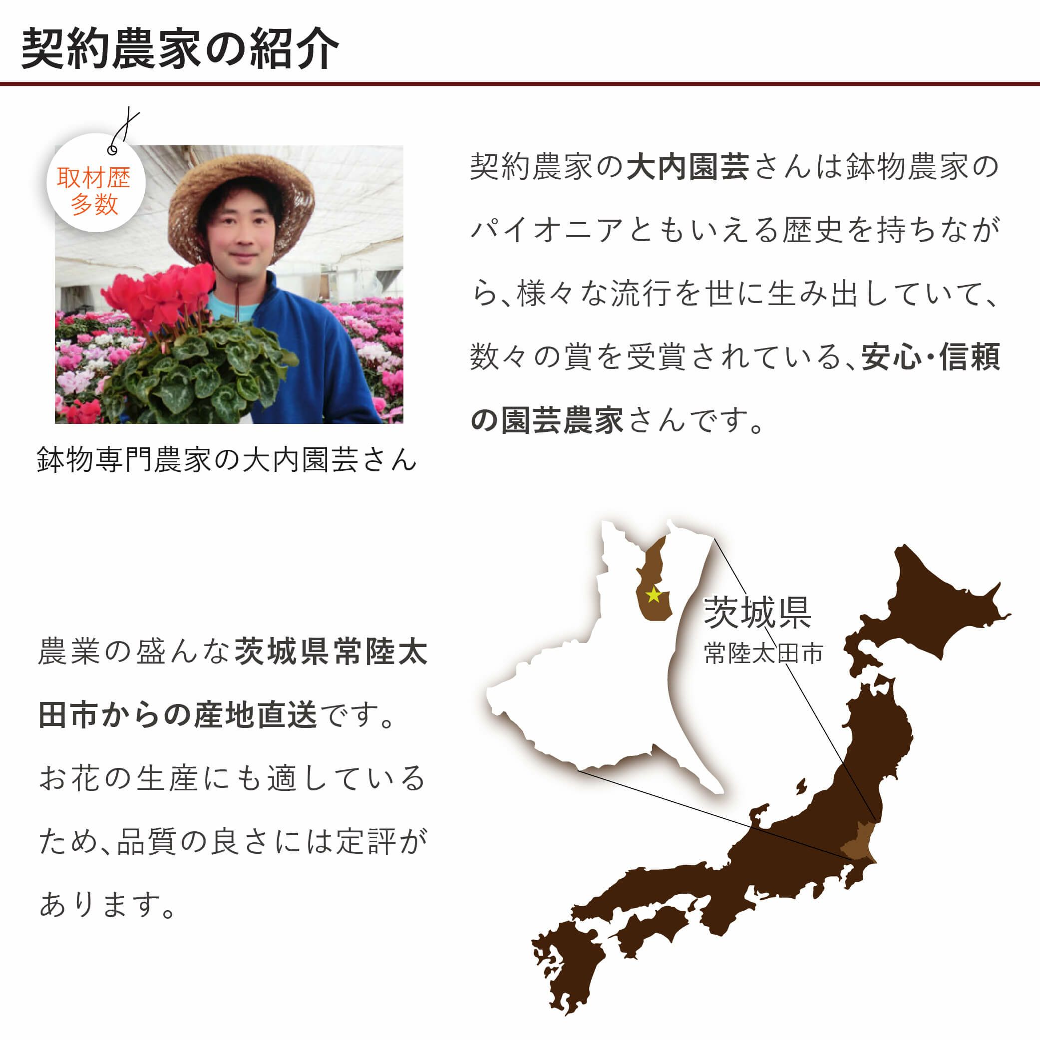 カーネーションと日本酒セット