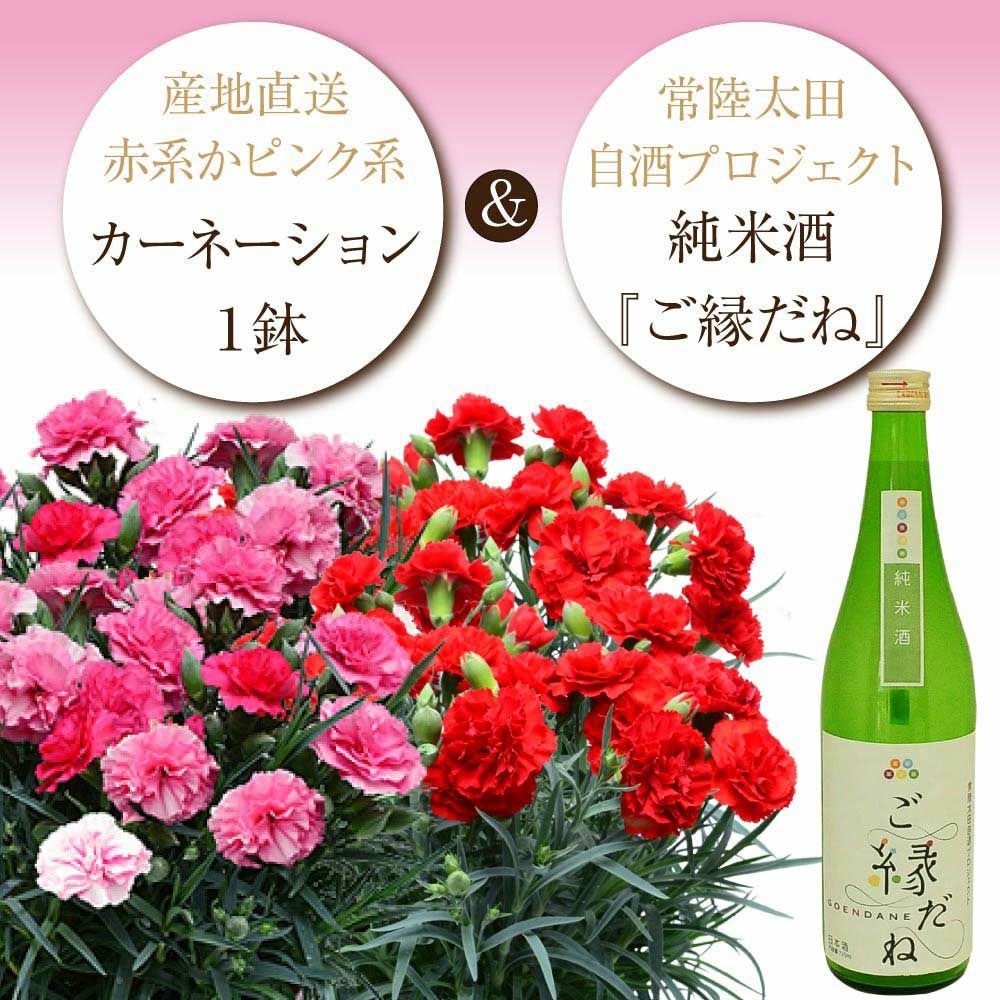 カーネーションと日本酒セット