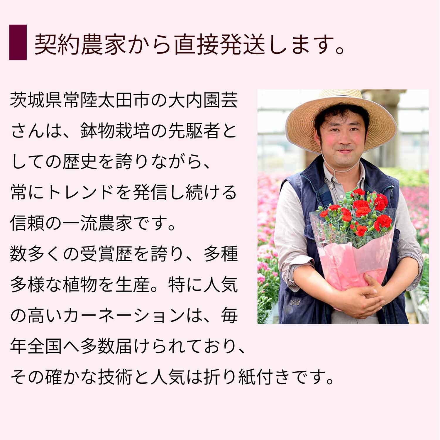 レッド系かピンク系をお届けします