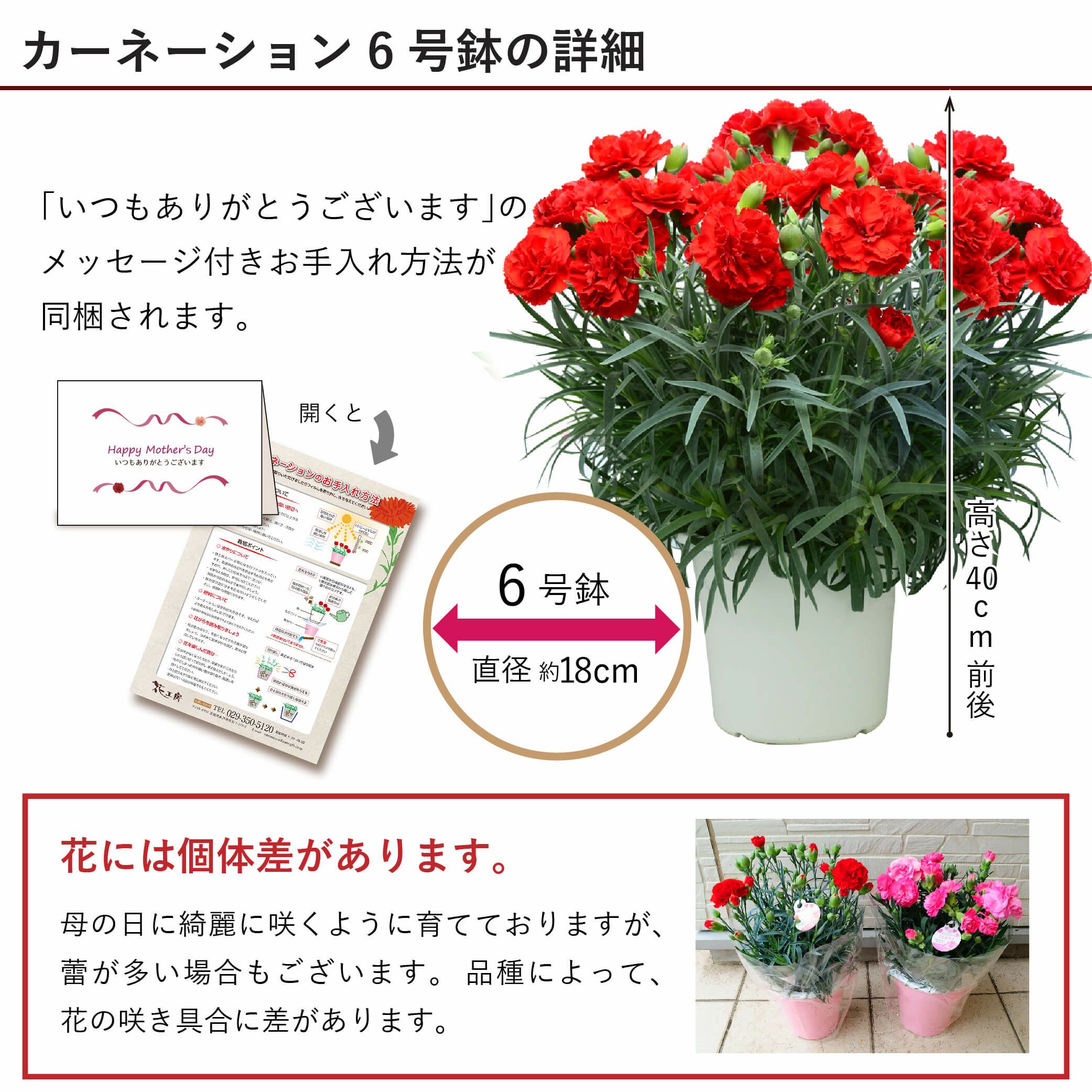 産地直送