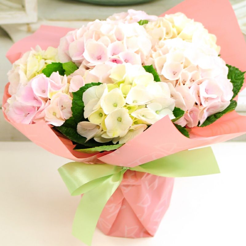 コットンキャンディ