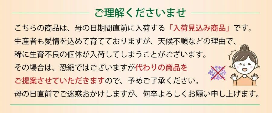お届け期間