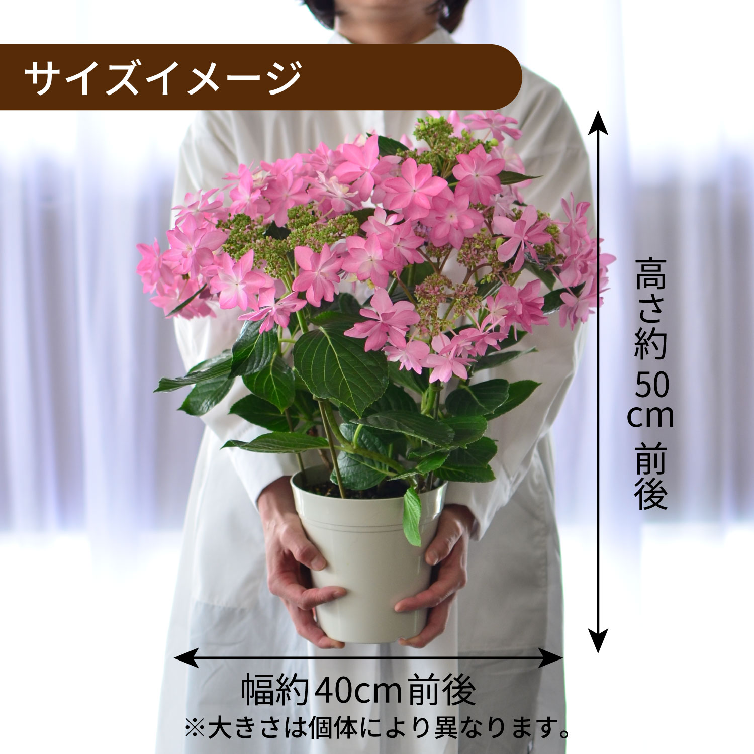 ダンスパーティー手持ち