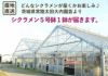 産地直送 何が届くかお楽しみ おまかせ シクラメン 5号鉢