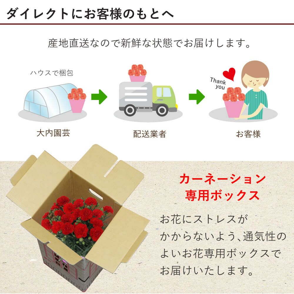 産地直送