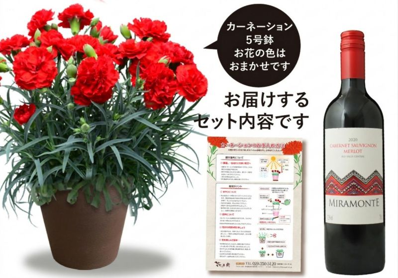 カーネーションと説明書、ワインのセット