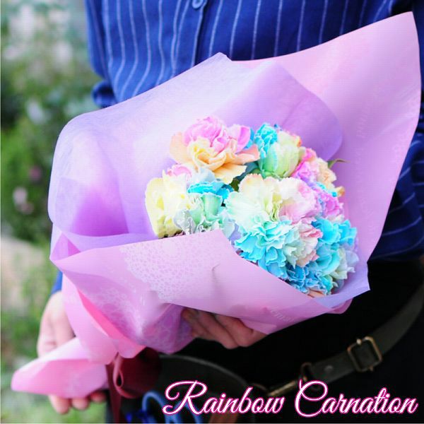 母の日 2023 レインボーカーネーション10本のブーケ
