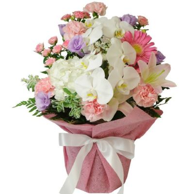 お祝い用 胡蝶蘭の洋風アレンジメント | 花工房エーデルワイス