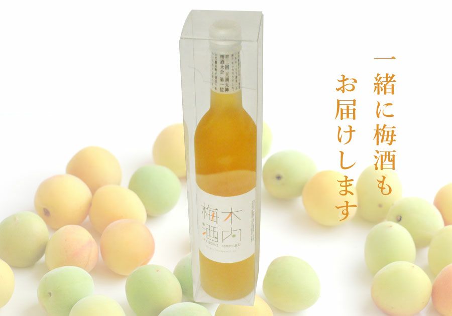 観葉植物モンステラ 6号鉢と木内梅酒セット