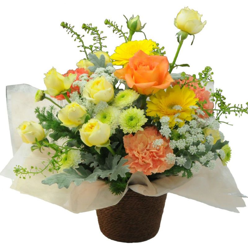 ペット お悔やみ花 お供え花 虹のはし Mサイズ | 花工房エーデルワイス