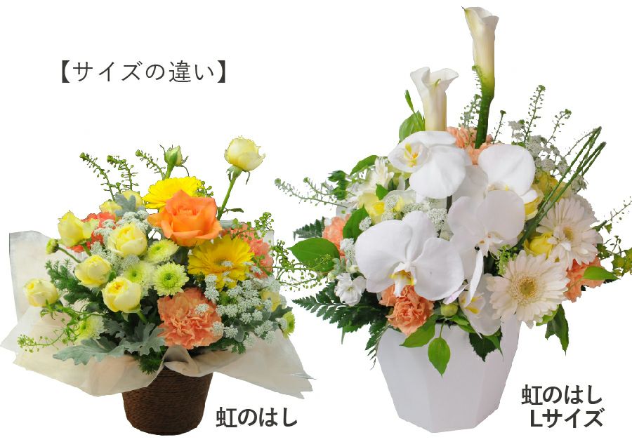 ペットのお供え 虹のはしLサイズ