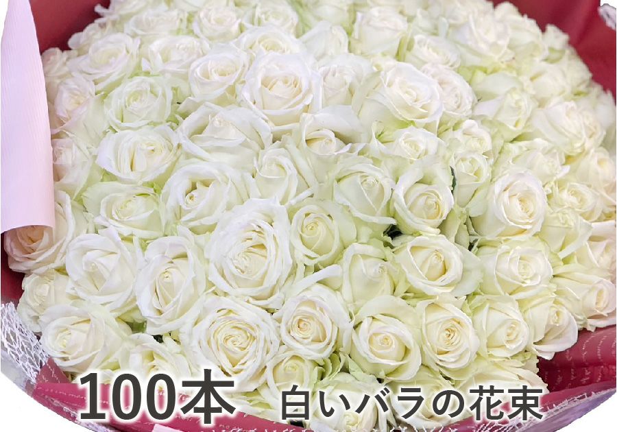 白いバラ(薔薇・ばら)100本の花束/誕生日プレゼント/フラワーギフト