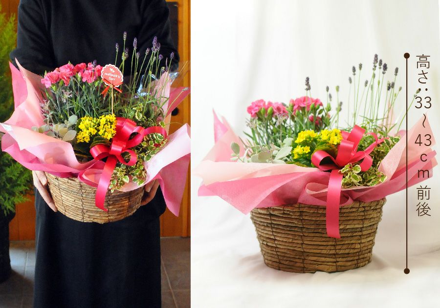 おまかせ寄せ鉢ミックス Lサイズ