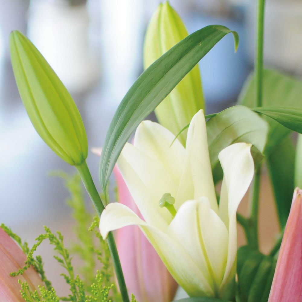 大輪百合のアレンジメント