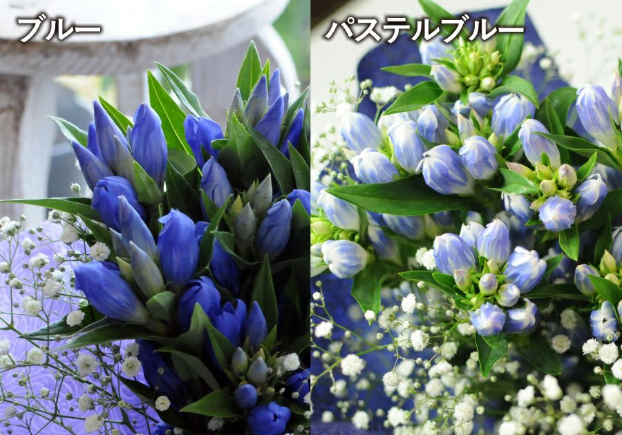 花 記念日 各種お祝いに 花ギフト 花のプレゼント そのまま飾れる不思議なブーケ リンドウのブーケ