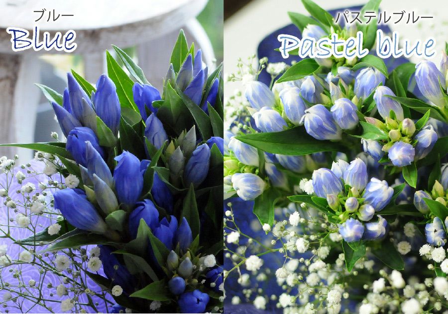 そのまま飾れる不思議なブーケ リンドウのブーケと福まるどらやきセット