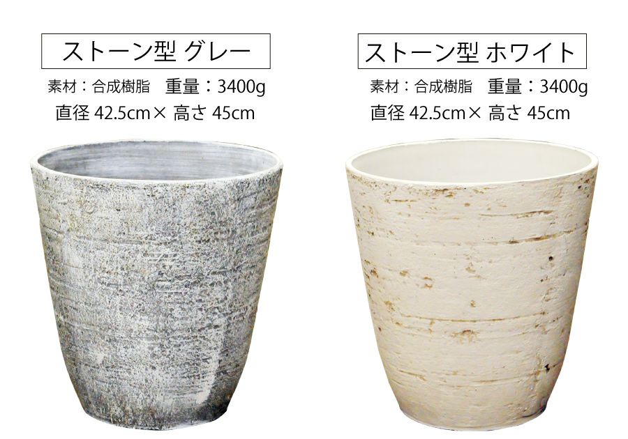 観葉植物 開店祝い 移転祝い パキラ 10号 選べる鉢カバー付き