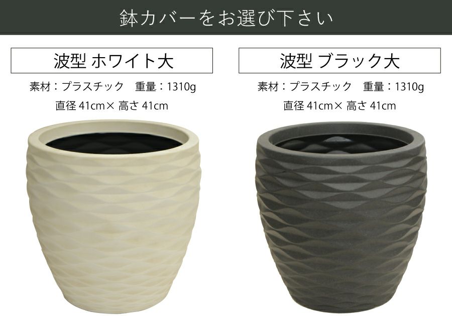 観葉植物 ユッカ 10号鉢 選べる鉢カバー付き