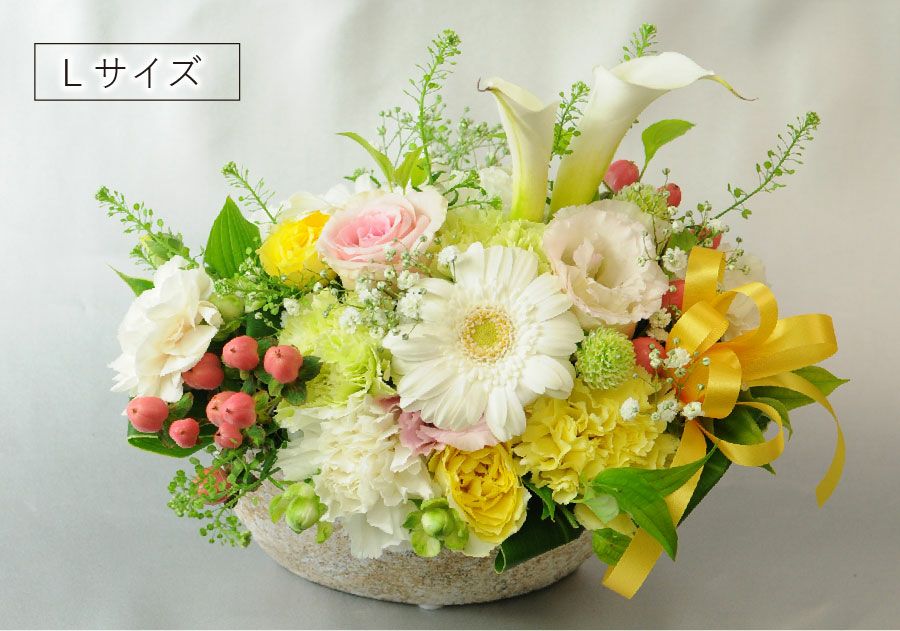 ホワイトベルLサイズ