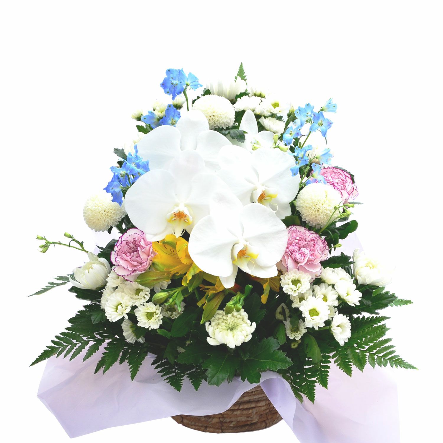 蘭のお供え花アレンジメントMSサイズ