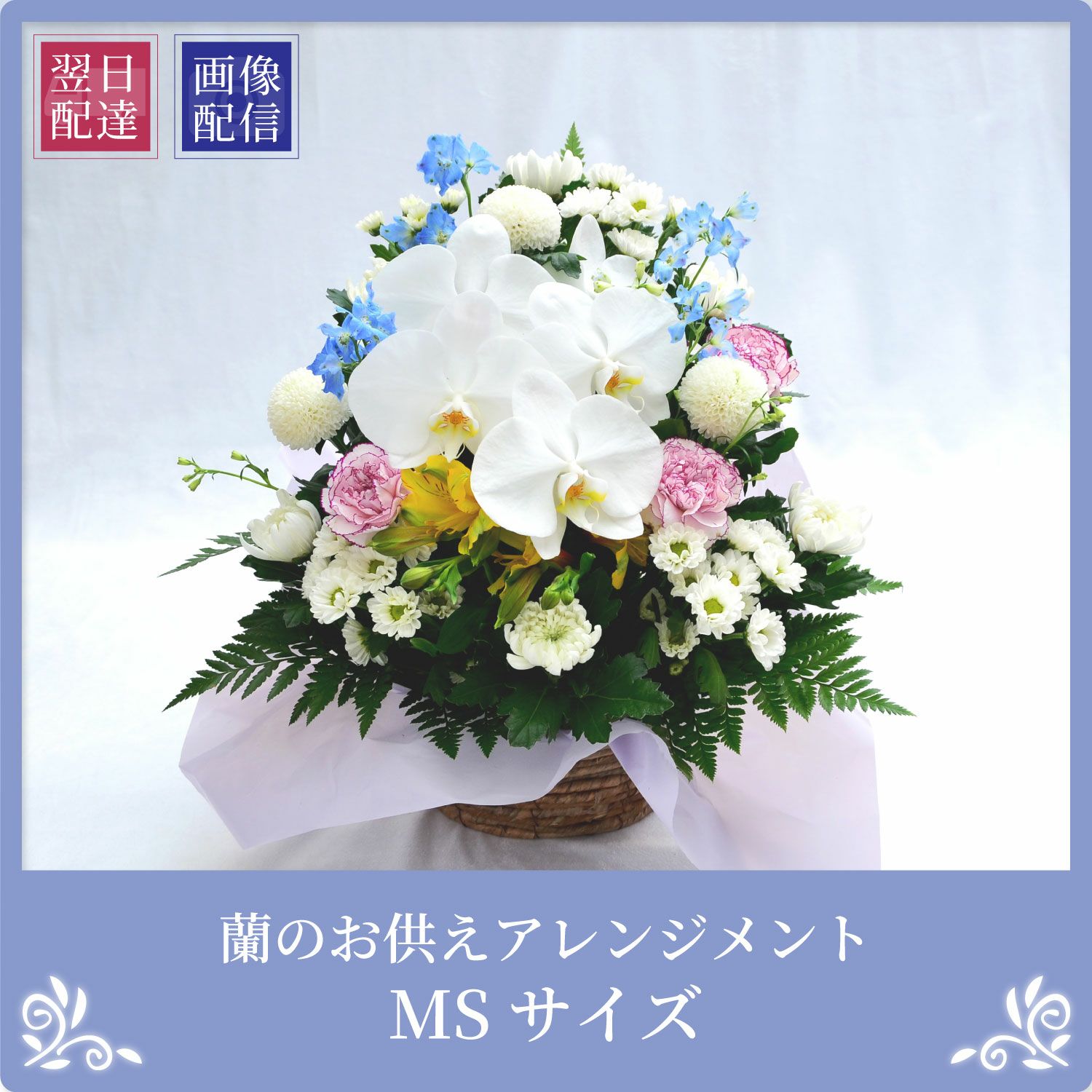 蘭のお供え花アレンジメントMSサイズ