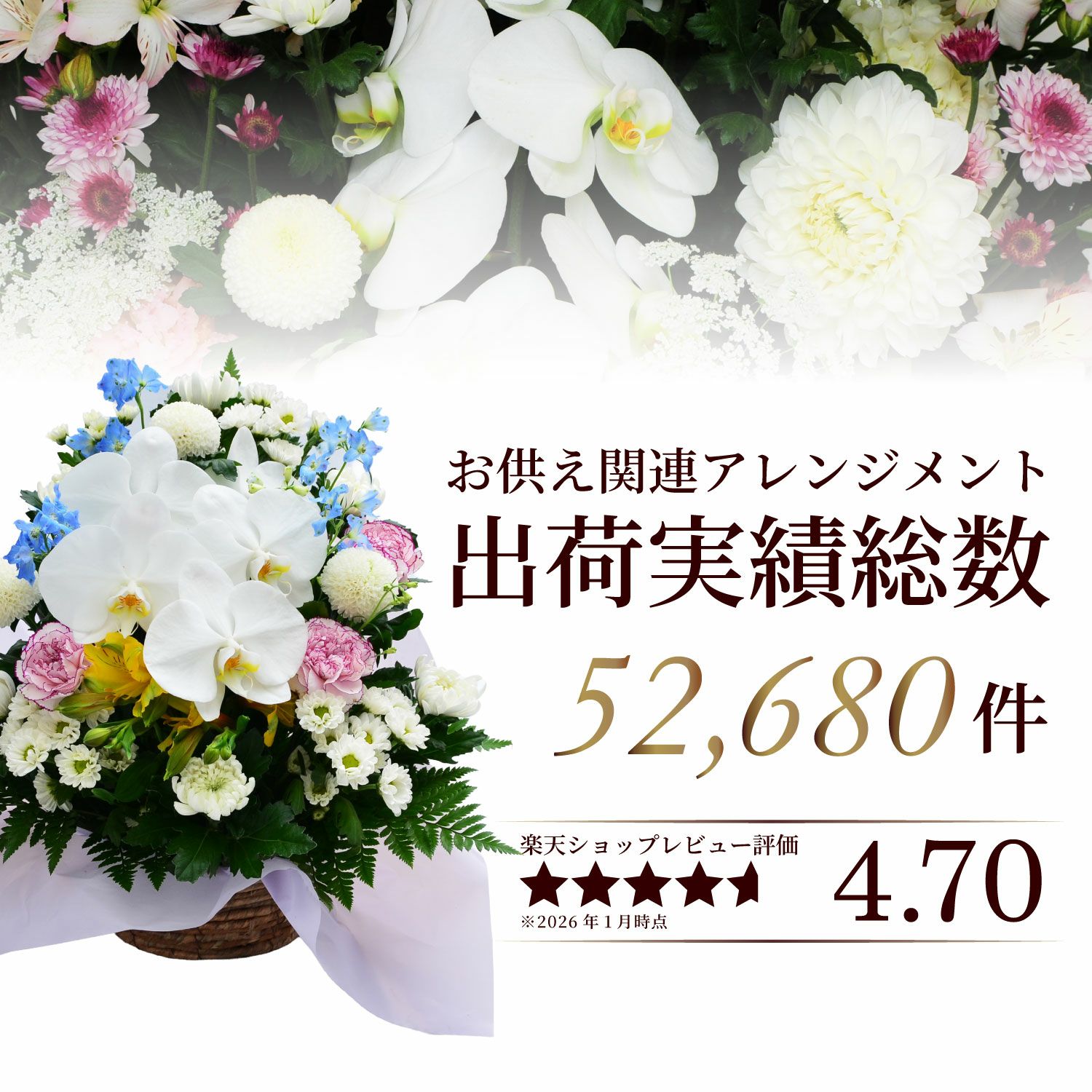 蘭のお供え花アレンジメントMSサイズ