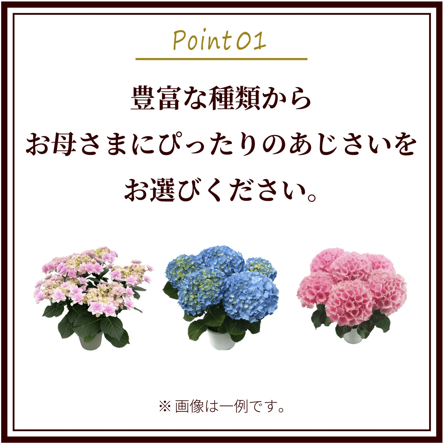 スペシャルラッピング