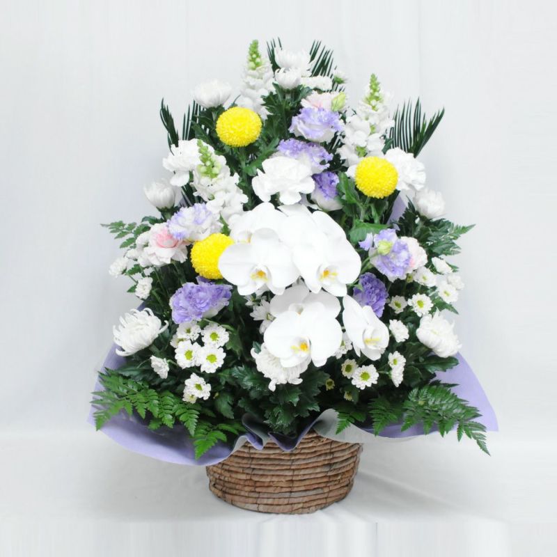 蘭のお供えアレンジメント２Lサイズ