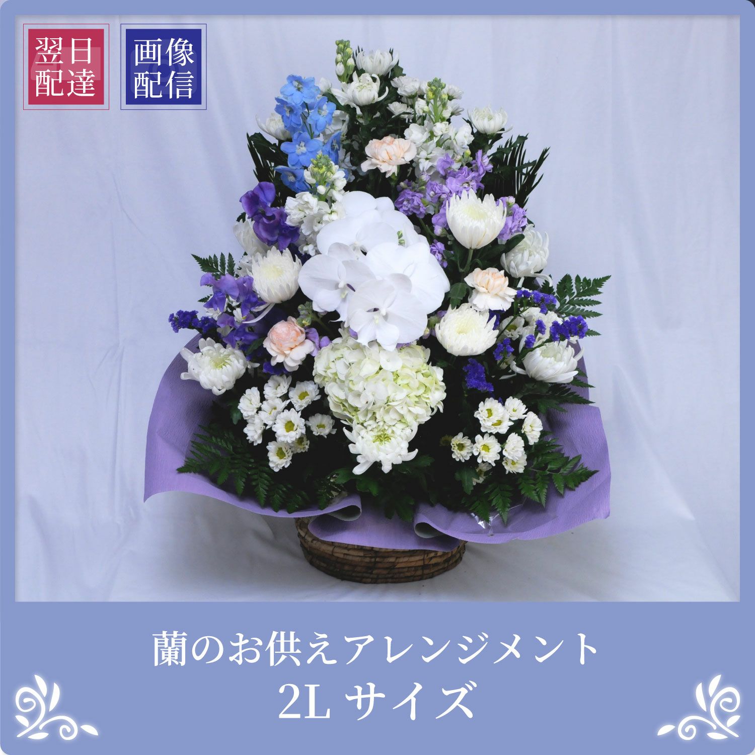 蘭のお供えアレンジメント２Lサイズ