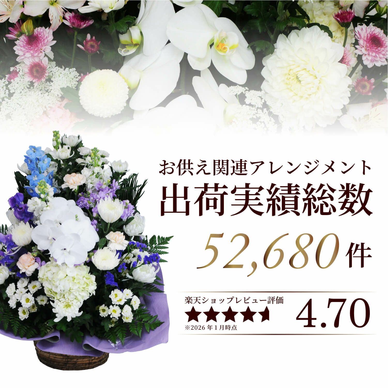 蘭のお供えアレンジメント２Lサイズ