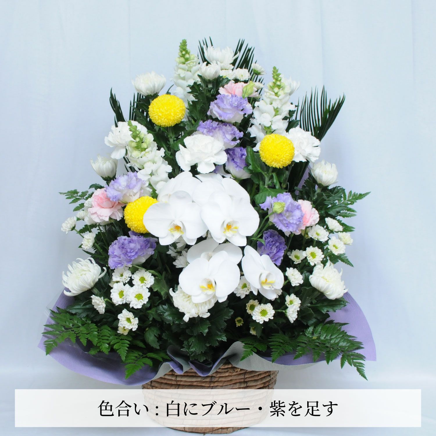 蘭のお供えアレンジメント２Lサイズ