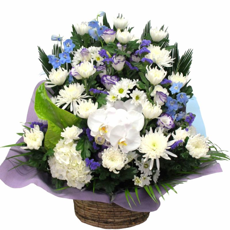 お彼岸のお供え花/蘭のお供え花アレンジメント