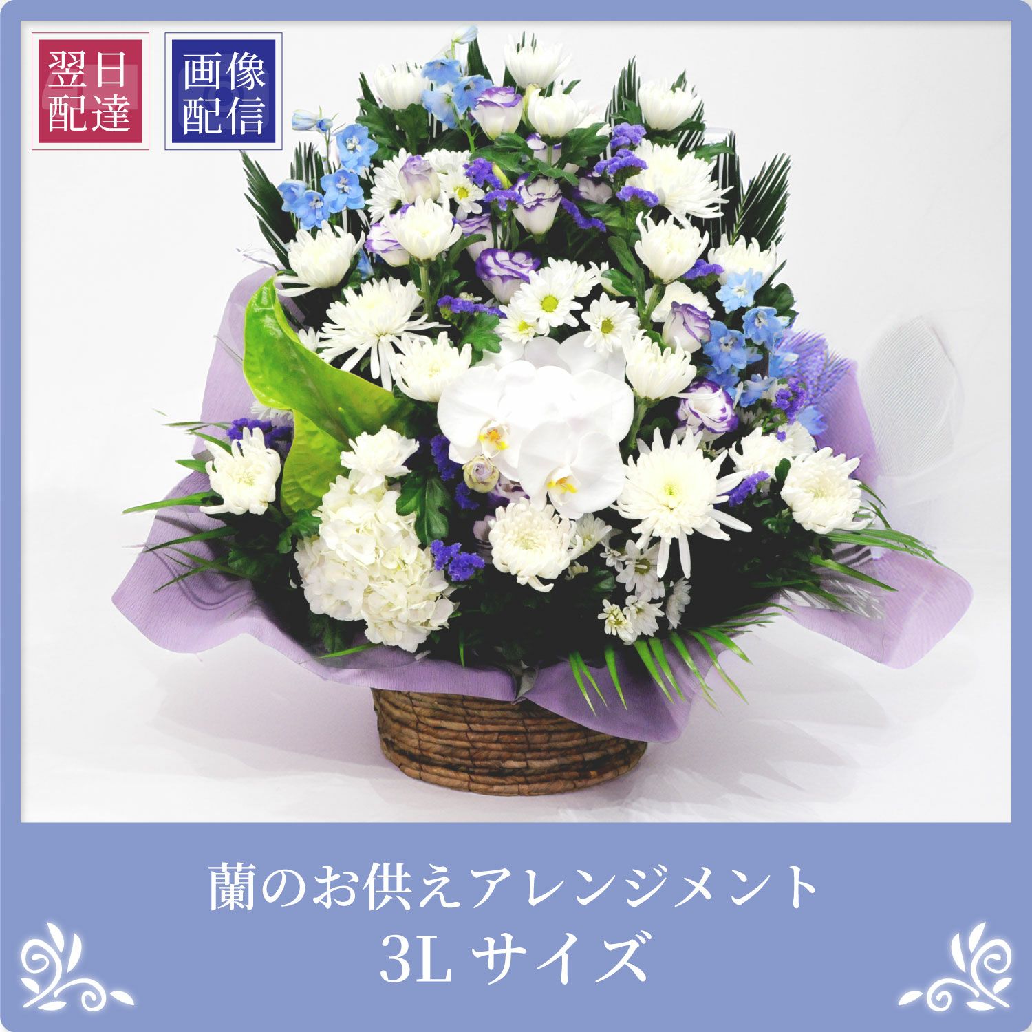 蘭のお供えアレンジメント３Lサイズ
