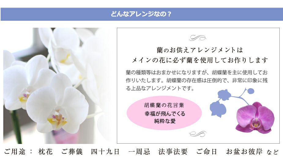 蘭のお供えアレンジメント３Lサイズ