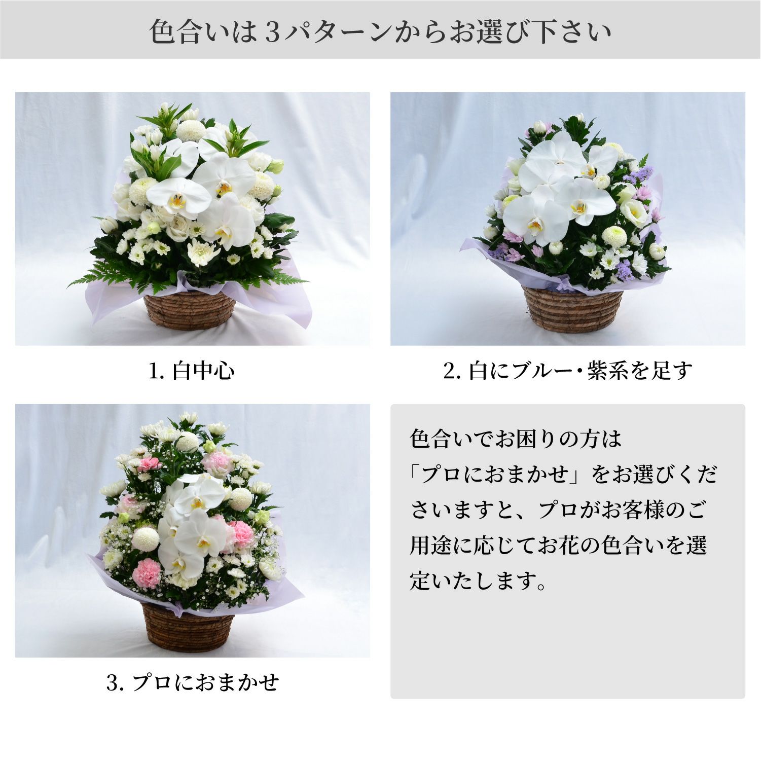 蘭のお供えアレンジメント３Lサイズ