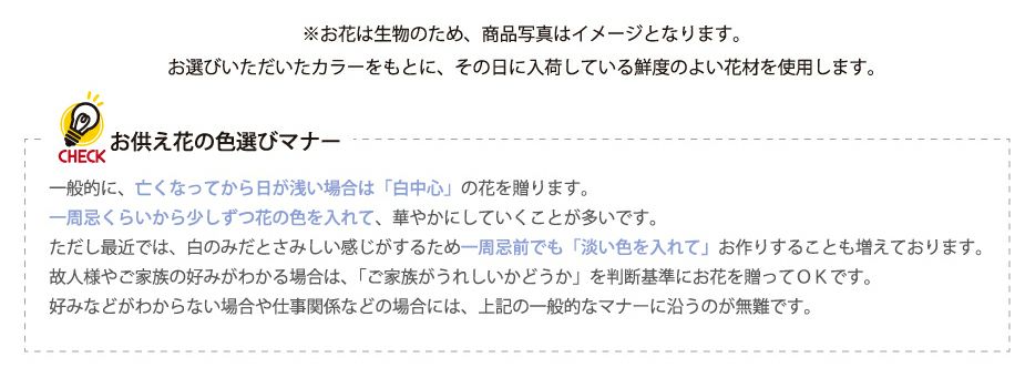 蘭のお供えアレンジメント３Lサイズ