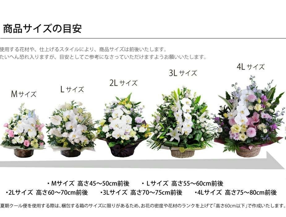 蘭のお供えアレンジメント３Lサイズ
