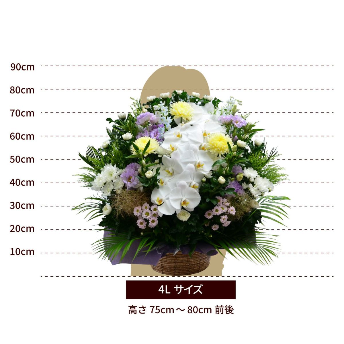 蘭のお供えアレンジメント３Lサイズ