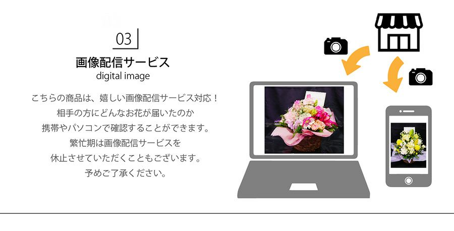 蘭のお供えアレンジメント３Lサイズ