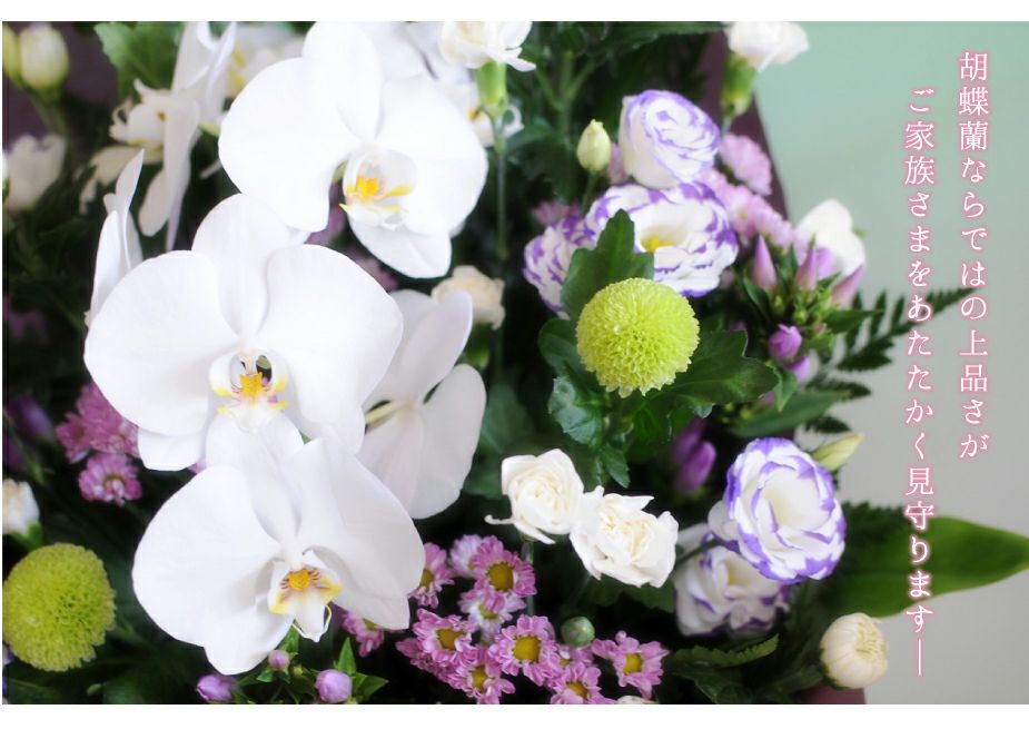 蘭のお供えアレンジメント３Lサイズ