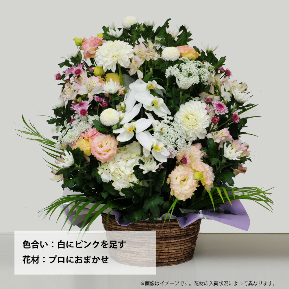 蘭のお供えアレンジメント３Lサイズ