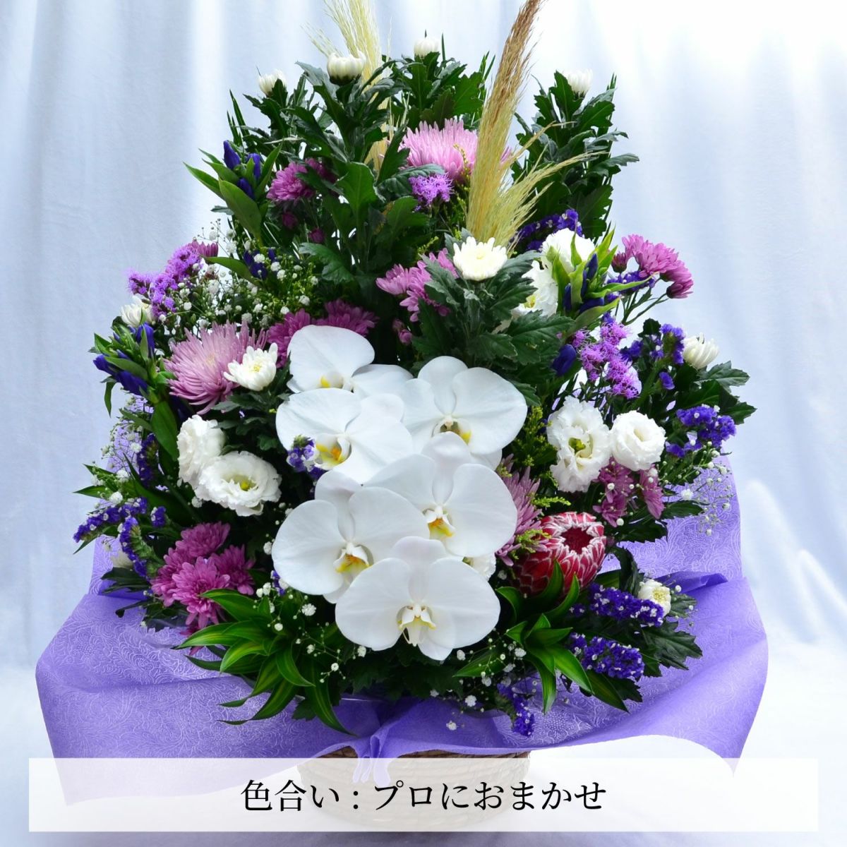 蘭のお供えアレンジメント３Lサイズ