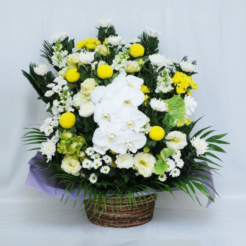 蘭のお供えアレンジメント４Lサイズ