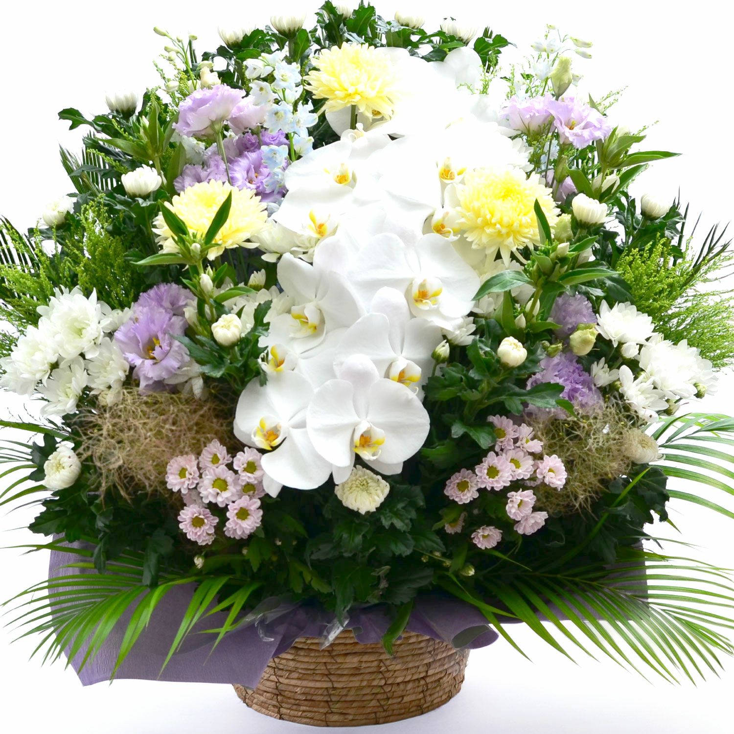 蘭のお供えアレンジメント４Lサイズ