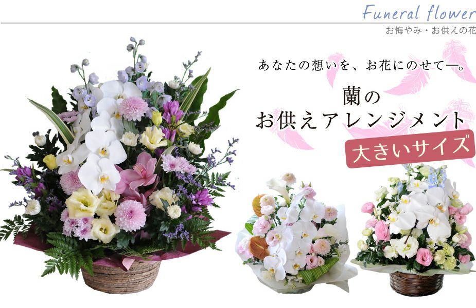 蘭のお供えアレンジメント４Lサイズ