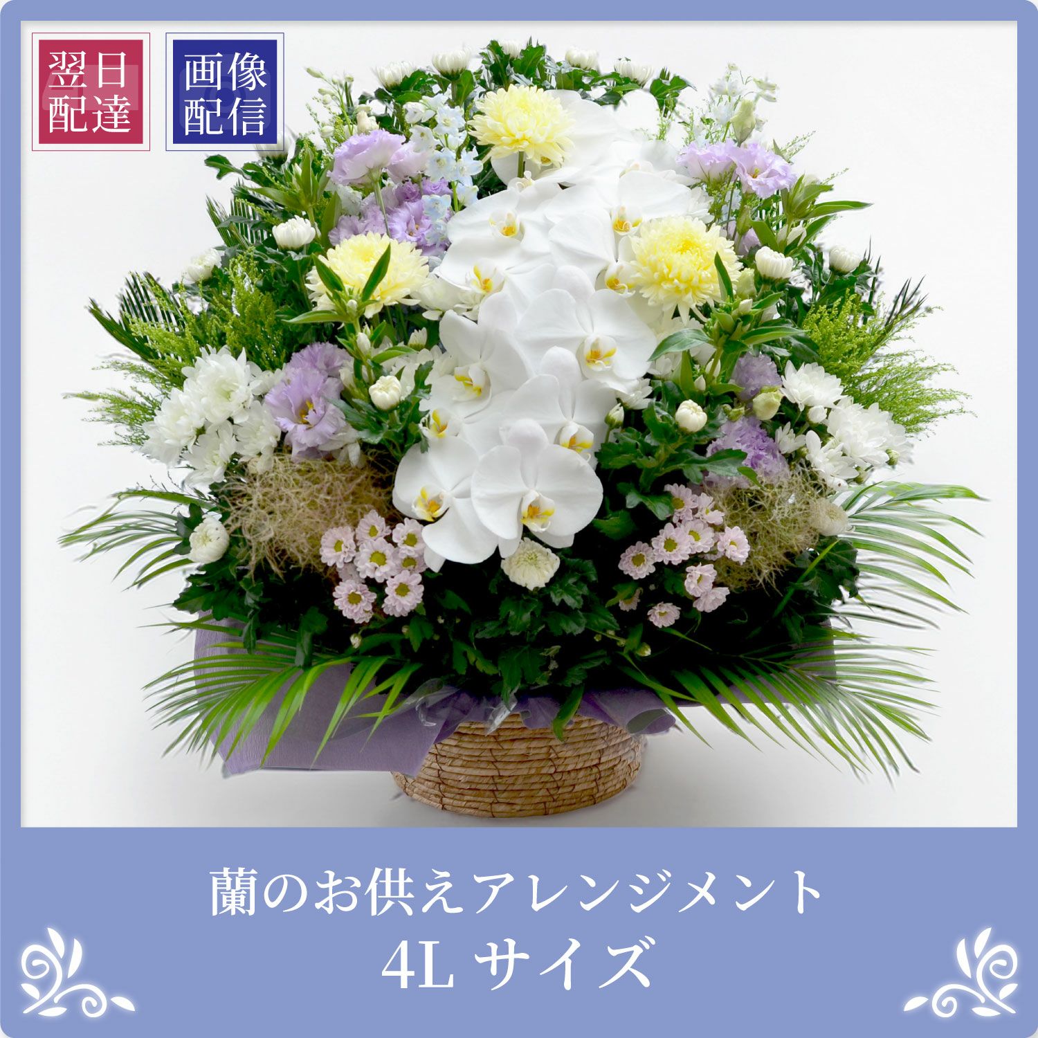 蘭のお供えアレンジメント４Lサイズ
