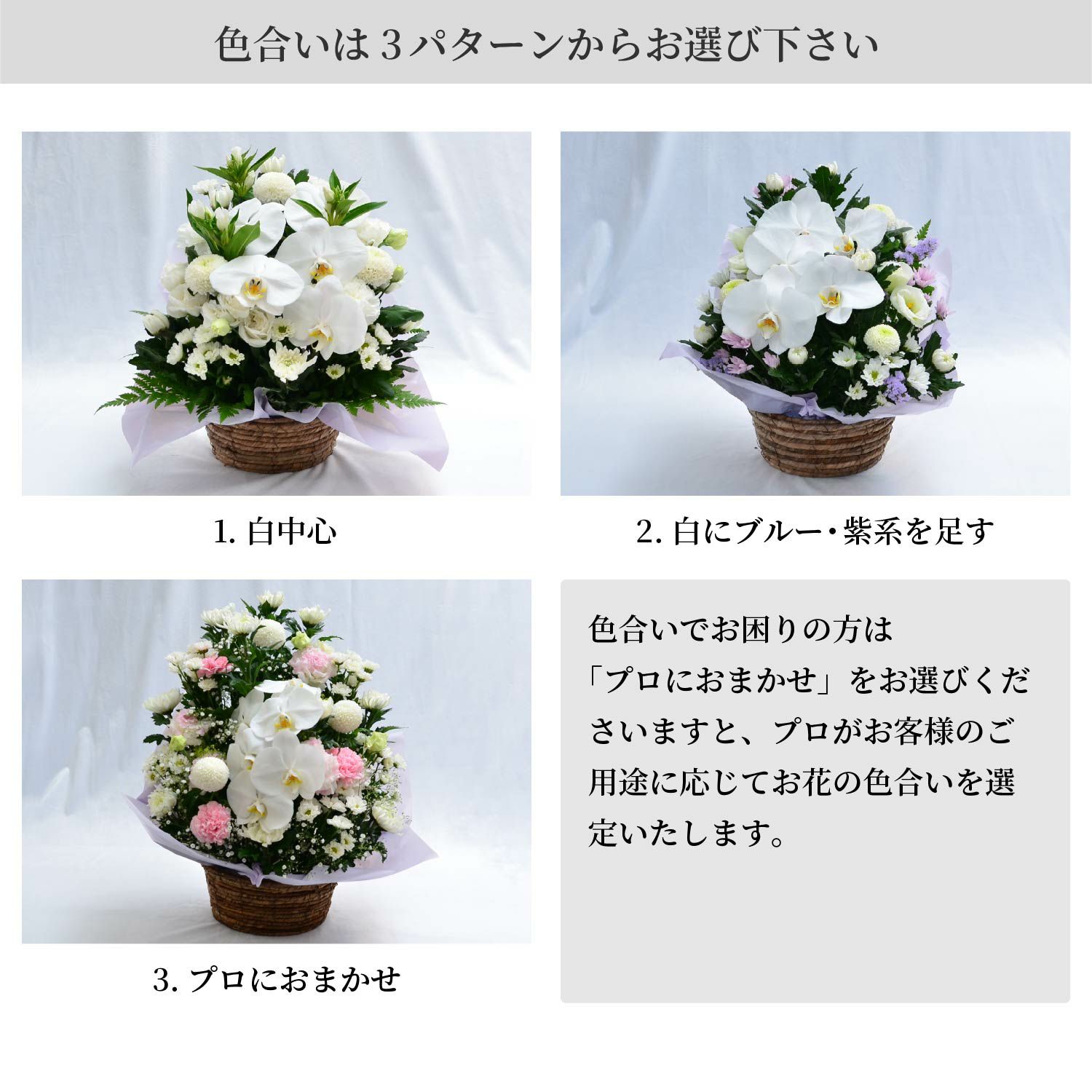 蘭のお供えアレンジメント４Lサイズ