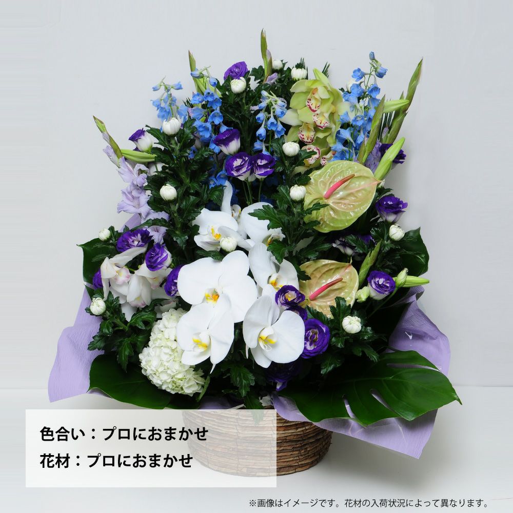 蘭のお供えアレンジメント４Lサイズ