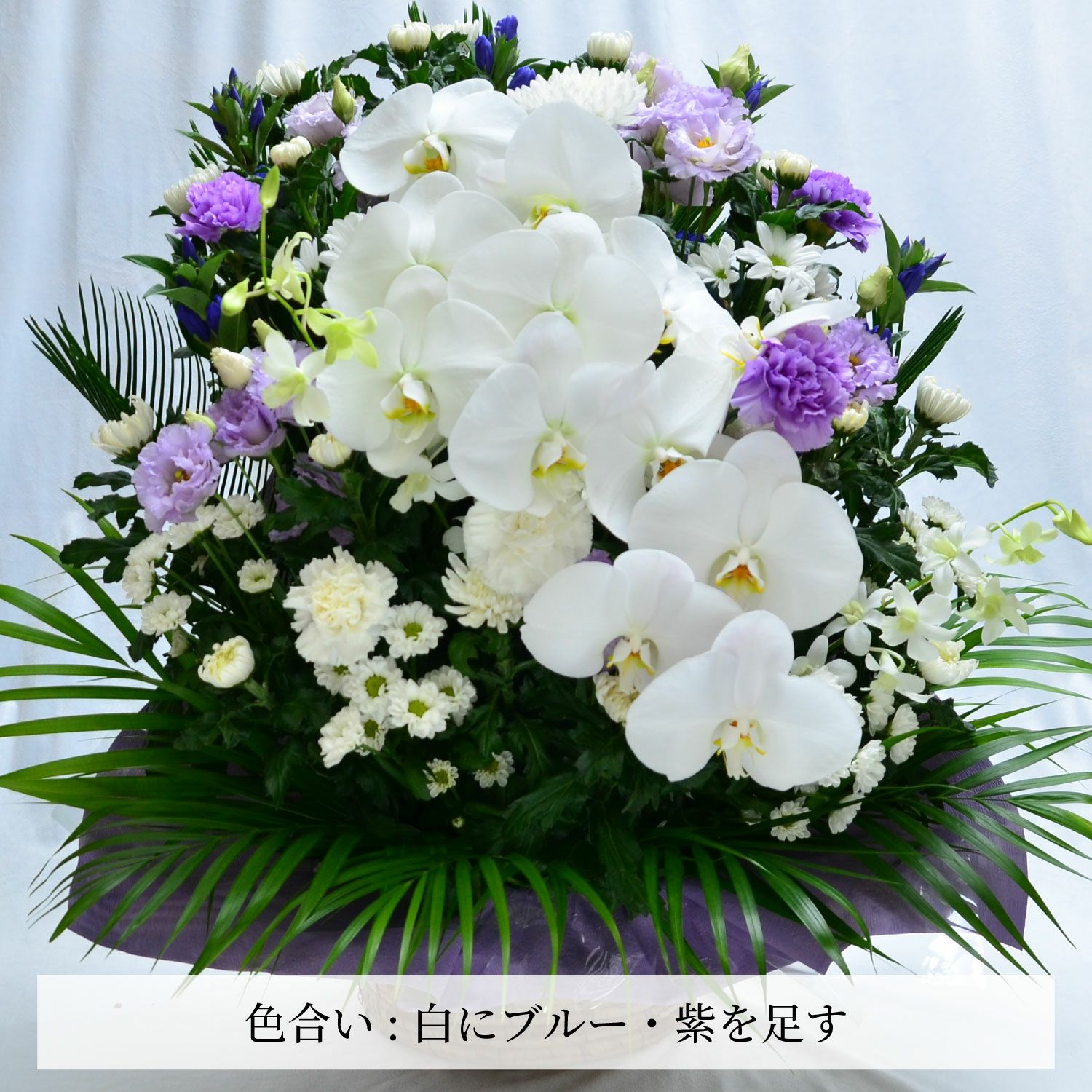 蘭のお供えアレンジメント４Lサイズ
