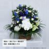 蘭のお供えアレンジメント４Lサイズ
